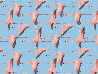 Fototapete Fliegende Flamingos