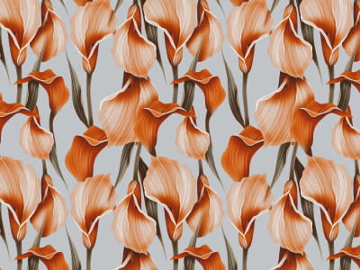 Fototapete Orangefarbene Callas