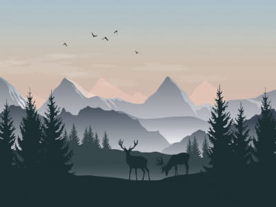 Fototapete Morgendämmerung in einem Bergtal