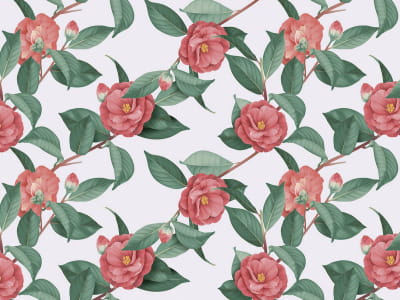 Fototapete Üppige Rosen auf weißem Hintergrund