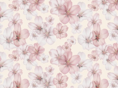 Fototapete Anmutige Blüte