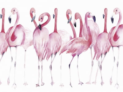 Fototapete Rosa Flamingos