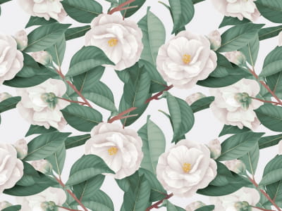 Fototapete Weiße Blumen