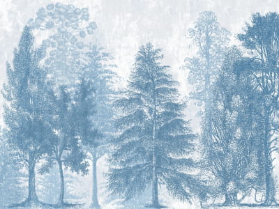 Fototapete Hellblauer Wald