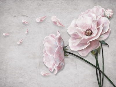 Fototapete Zarte Teerose 3D