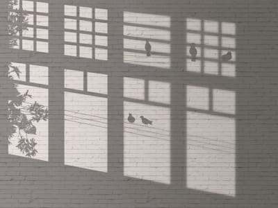 Fototapete Sonnenblendung an der Wand