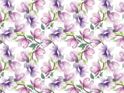 Fototapete Herrliche Magnolienblüten