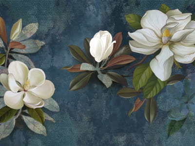 Fototapete Magnolie blühte