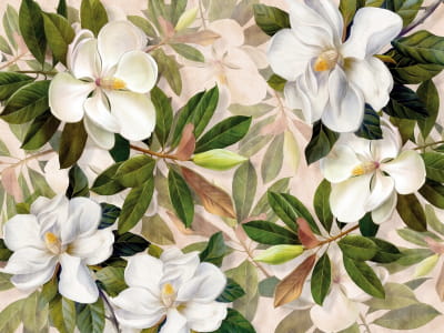 Fototapete Magnolienweiß