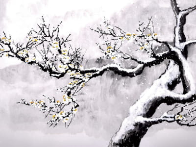 Fototapete Baum im Schnee