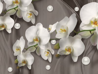 Fototapete Weiße Orchideen 3D