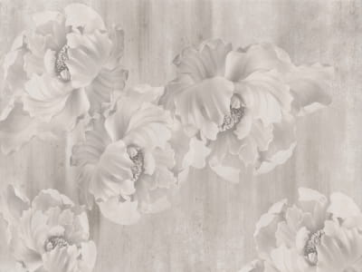 Fototapete Wunderschöne zarte Blumen