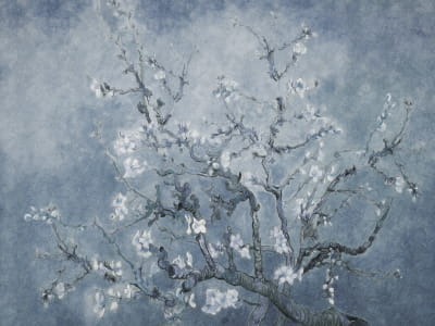 Fototapete Mandelblüte