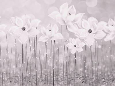Fototapete Mondblumen