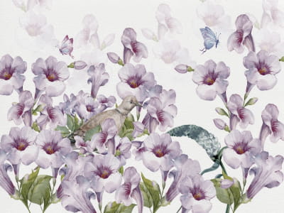 Fototapete Wunderschöne lila Blüten