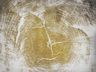 Fototapete Zeichnung auf einem Holzstück