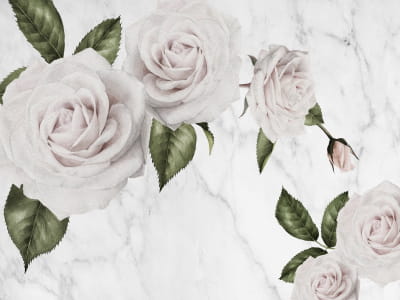 Fototapete Wunderschöne zarte Rosen