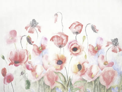 Fototapete Feld mit wunderschönen Mohnblumen