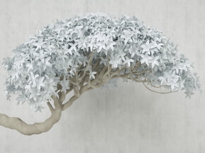 Fototapete Grauer Baum
