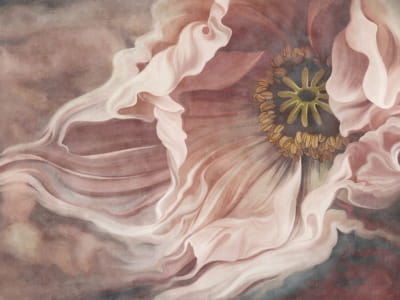 Fototapete Tulpe, Zeichnung