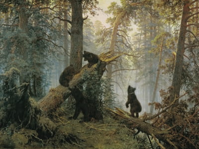 Fototapete Shishkin, Morgen in einem Kiefernwald