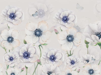 Fototapete Weiße Anemonen