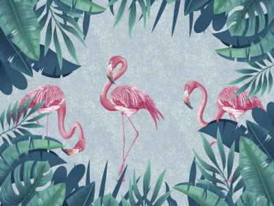 Fototapete Wunderschöne rosa Flamingos