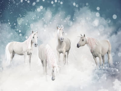 Fototapete Einhornwelt