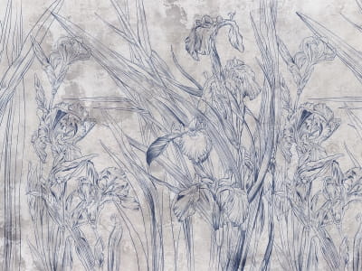 Fototapete Helle Iris