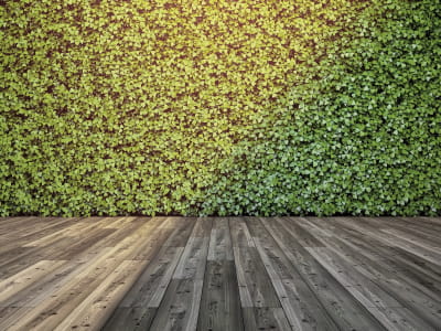 Fototapete Grüne Wand 3D