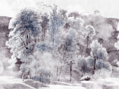 Fototapete Waldlandschaft