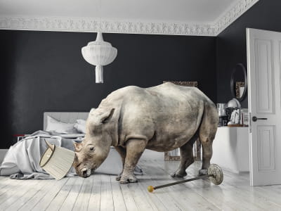 Fototapete Nashorn 3D
