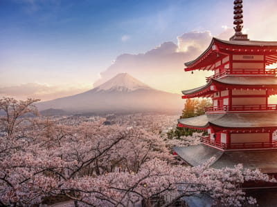 Fototapete Japan im Frühling