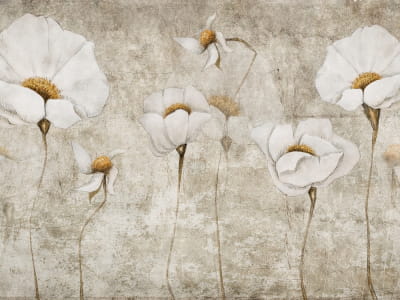 Fototapete Wunderschöne weiße Mohnblumen