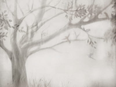 Fototapete Baum, Aquarell