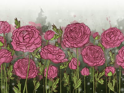 Fototapete Teerosa Rosen
