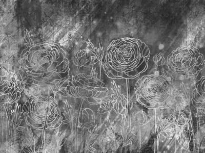 Fototapete Große Rosen, Zeichnung 