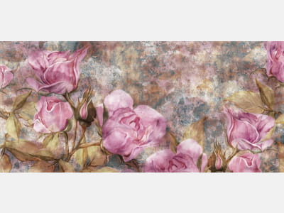 Fototapete Rosa Rosen, Aquarell