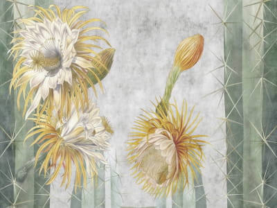 Fototapete Kaktusblüte