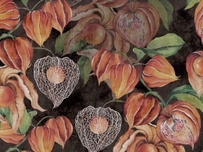 Fototapete Physalis