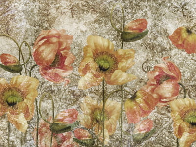 Fototapete Mohnblumen, Zeichnung