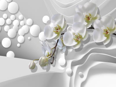 Fototapete Weiße Orchidee 3D