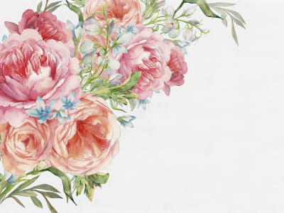 Fototapete Zarte Blumen, Aquarell