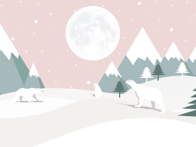 Fototapete Eisbären im Winter