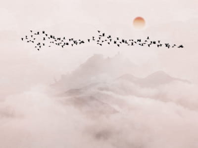 Fototapete Vogelschwarm bei Sonnenuntergang