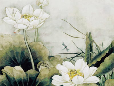 Fototapete Weiße Lotusblüten