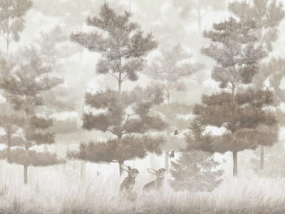 Fototapete Wunderschöner Kiefernwald