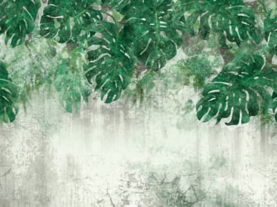 Fototapete Monstera-Blätter