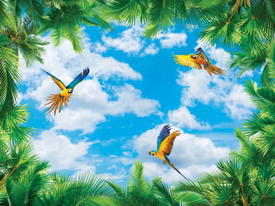 Fototapete Schöner Himmel 3D