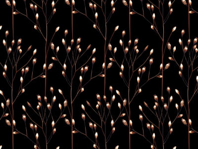 Fototapete Zarte Wiesenblumen